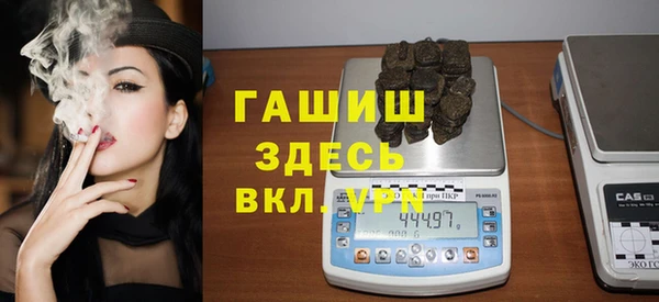 сатива Горняк