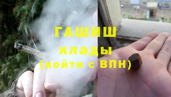 сатива Горняк