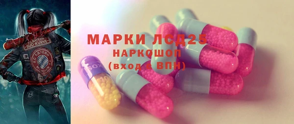 сатива Горняк