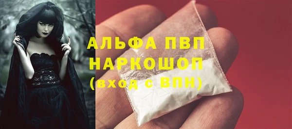 сатива Горняк