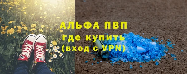 сатива Горняк