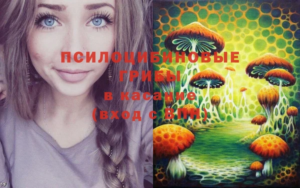 сатива Горняк
