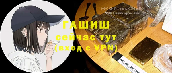 apvp Гусев