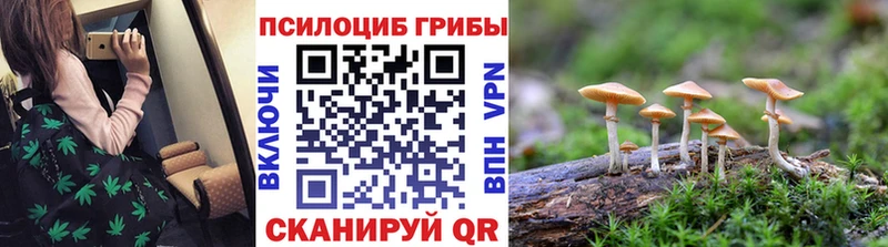 Купить  Кировград  Галлюциногенные грибы GOLDEN TEACHER 